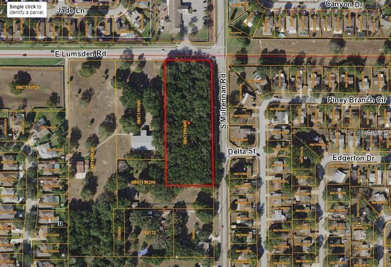 0 East Lumsden Road Valrico, FL 33594 - Photo 1 of 1