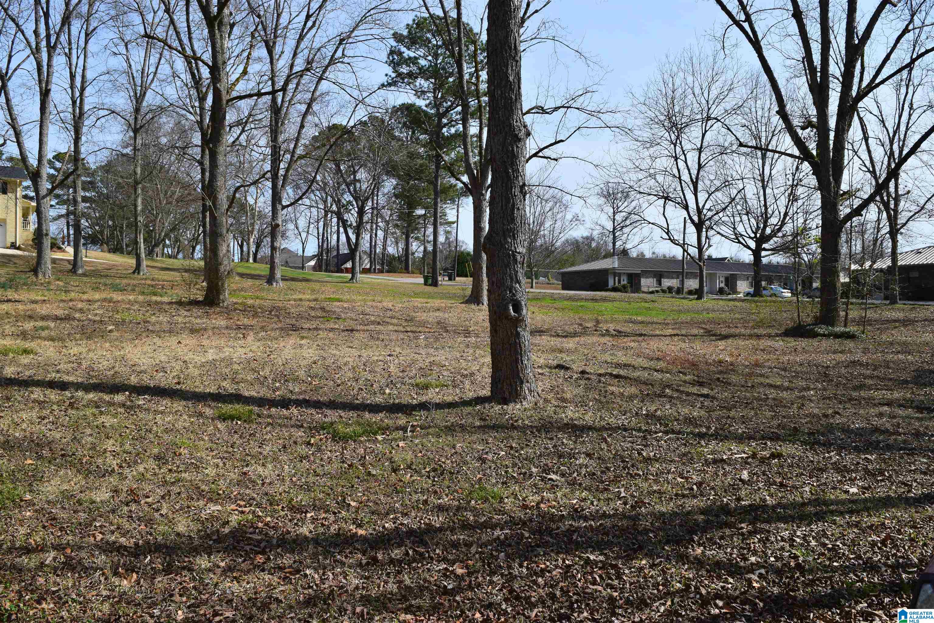 600 Sheila Lane Clanton, AL 35045 - Photo 24 of 30