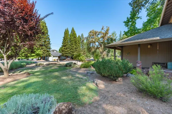 a view of a yard with plants and trees