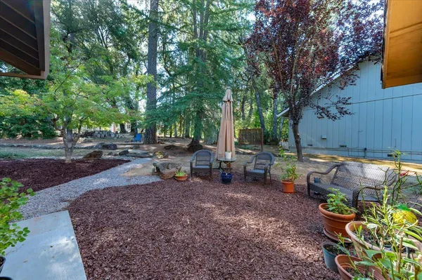 a view of outdoor space with trees all around