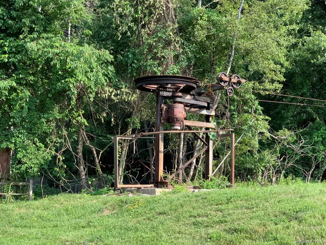 a view of a backyard with large trees