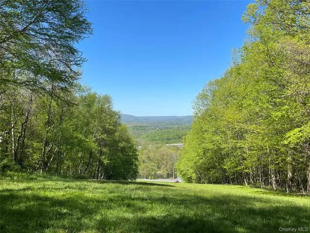 a view of a ocean with beach