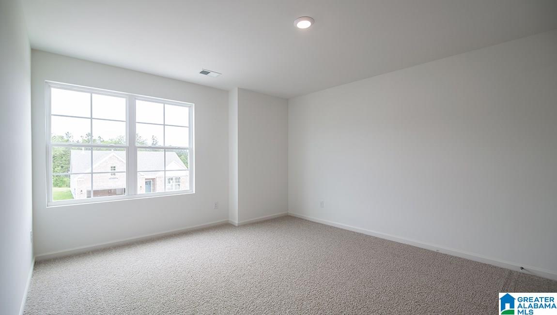 129 Rock Terrace Circle Helena, AL 35080 - Photo 22 of 24