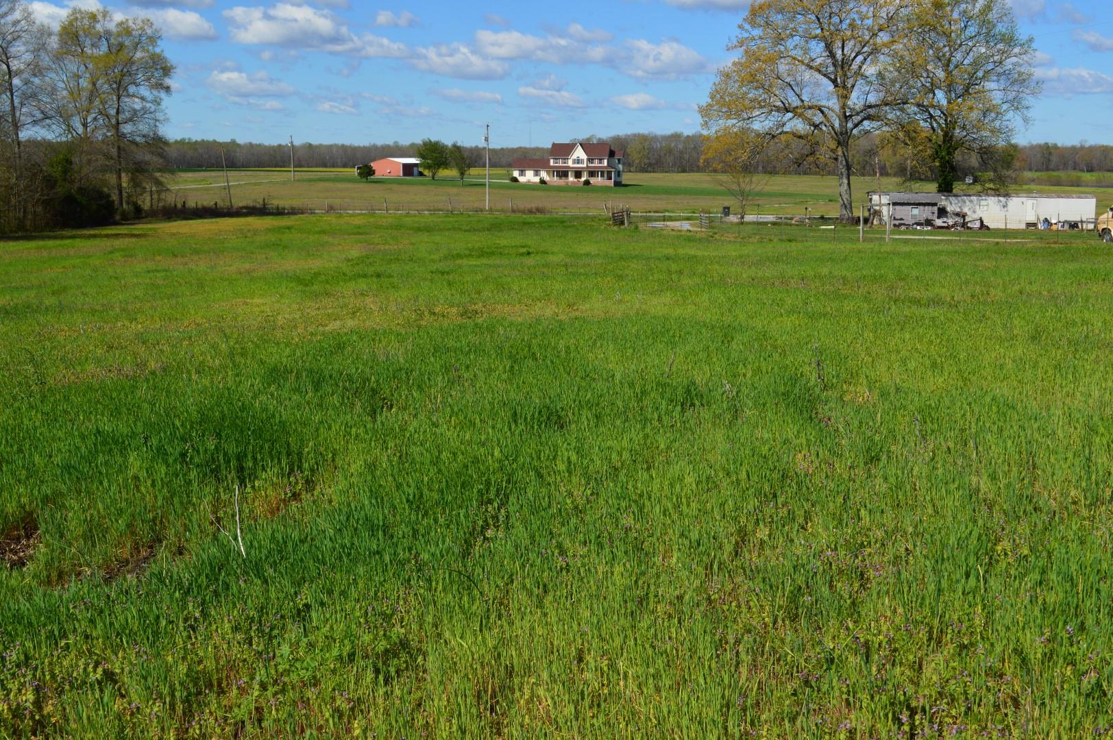 4090 Maple Springs Road Manchester, TN 37355 - Photo 4 of 12