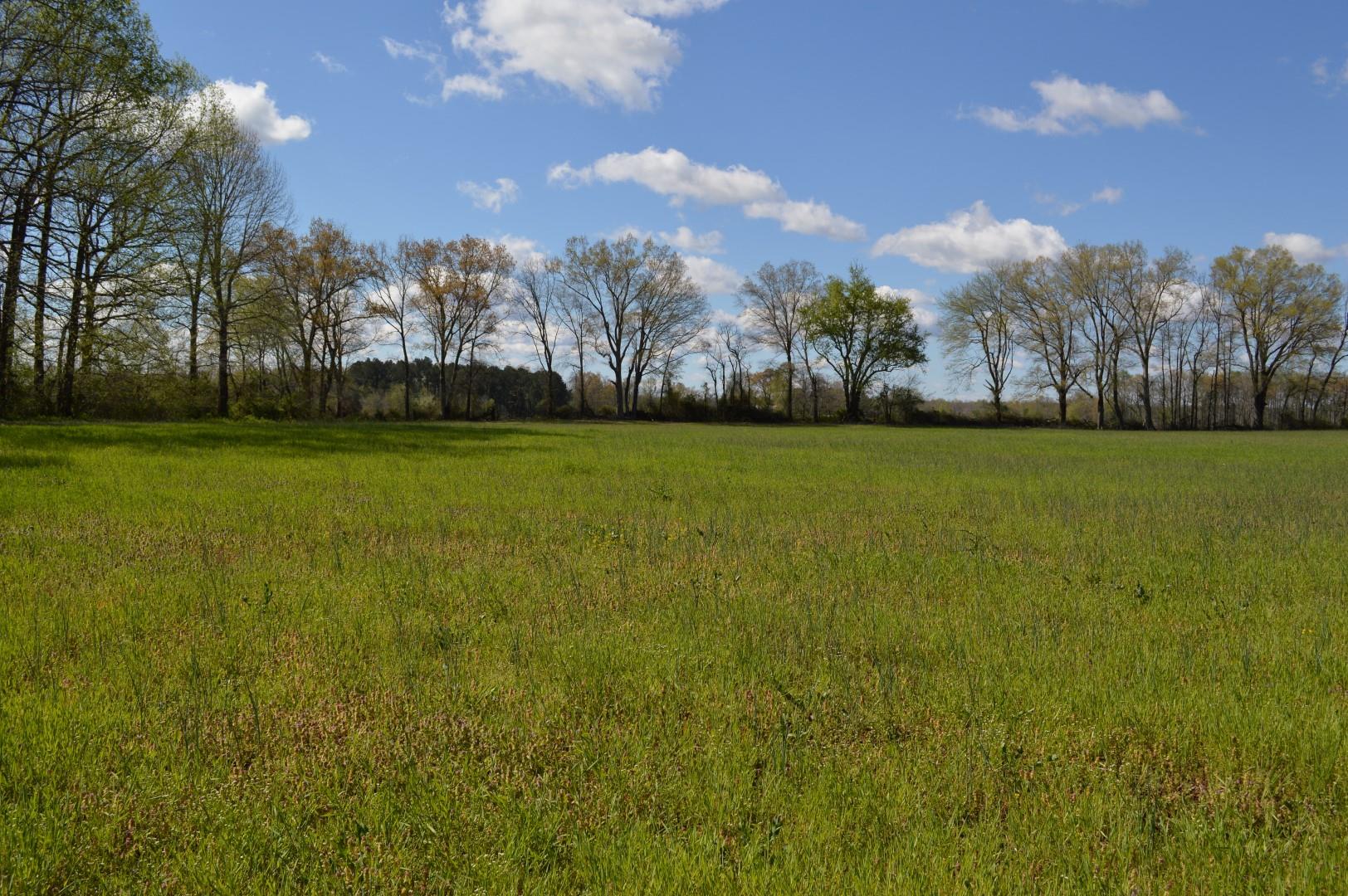 4090 Maple Springs Road Manchester, TN 37355 - Photo 8 of 12