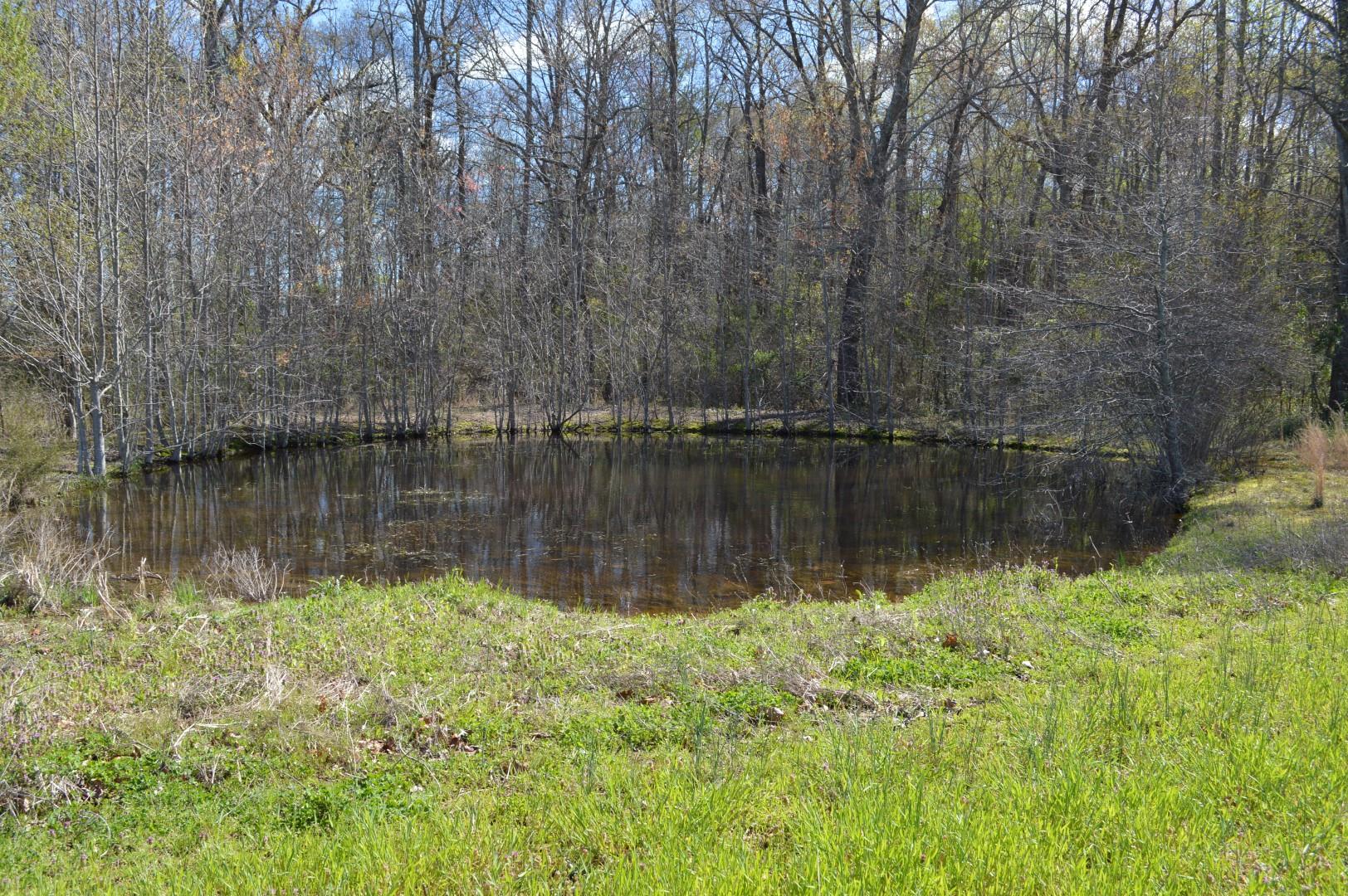 4090 Maple Springs Road Manchester, TN 37355 - Photo 9 of 12
