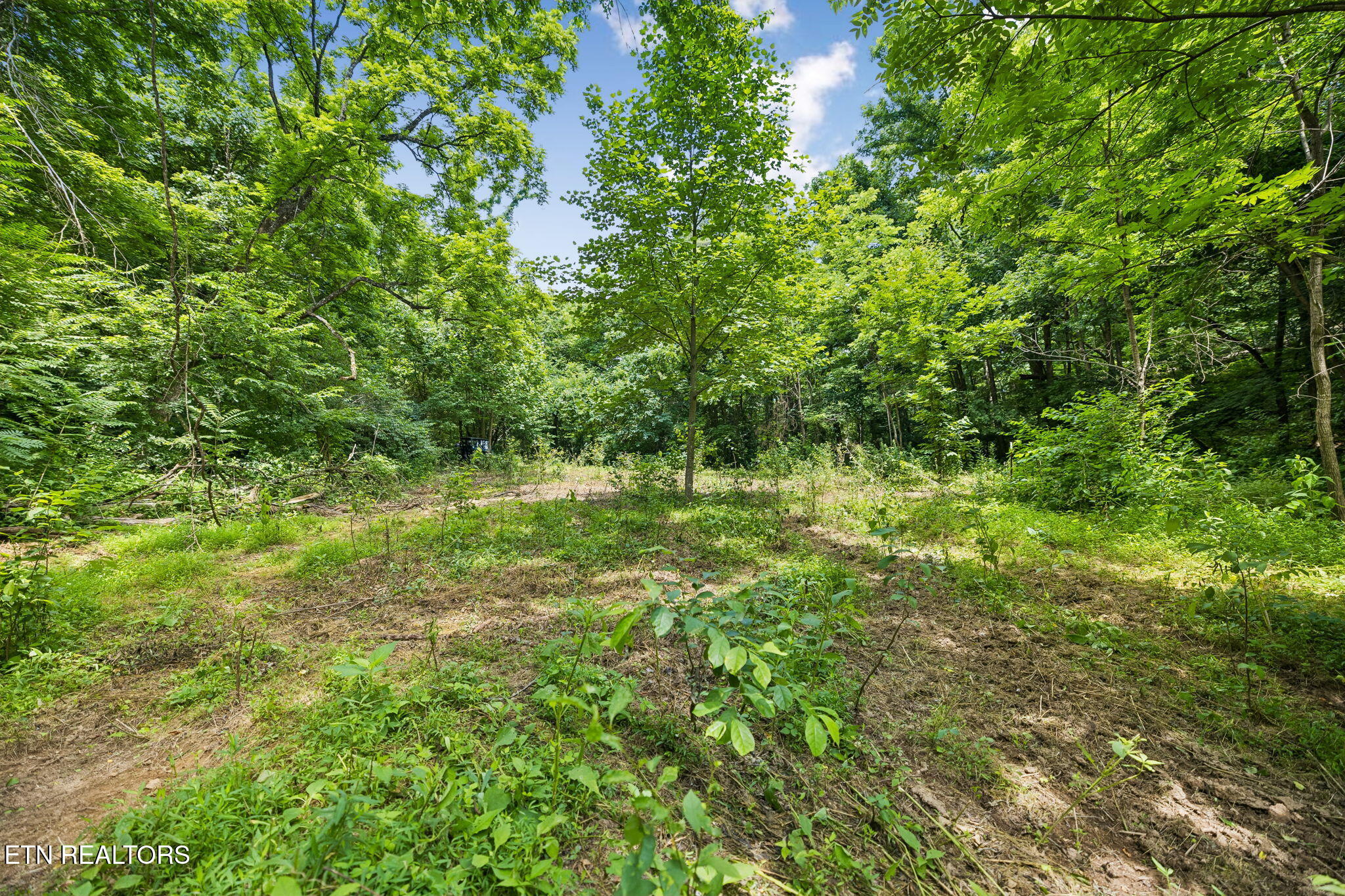 Knob Road Rutledge, TN 37861 - Photo 13 of 46 7-344 Knob Rd - 007
