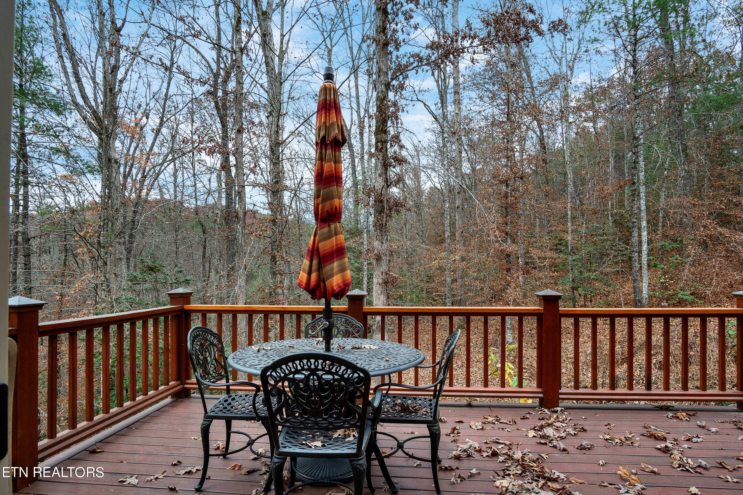 1801 Grouse Top Road Walland, TN 37886 - Photo 6 of 50 Rear Deck/Out door Dining Area