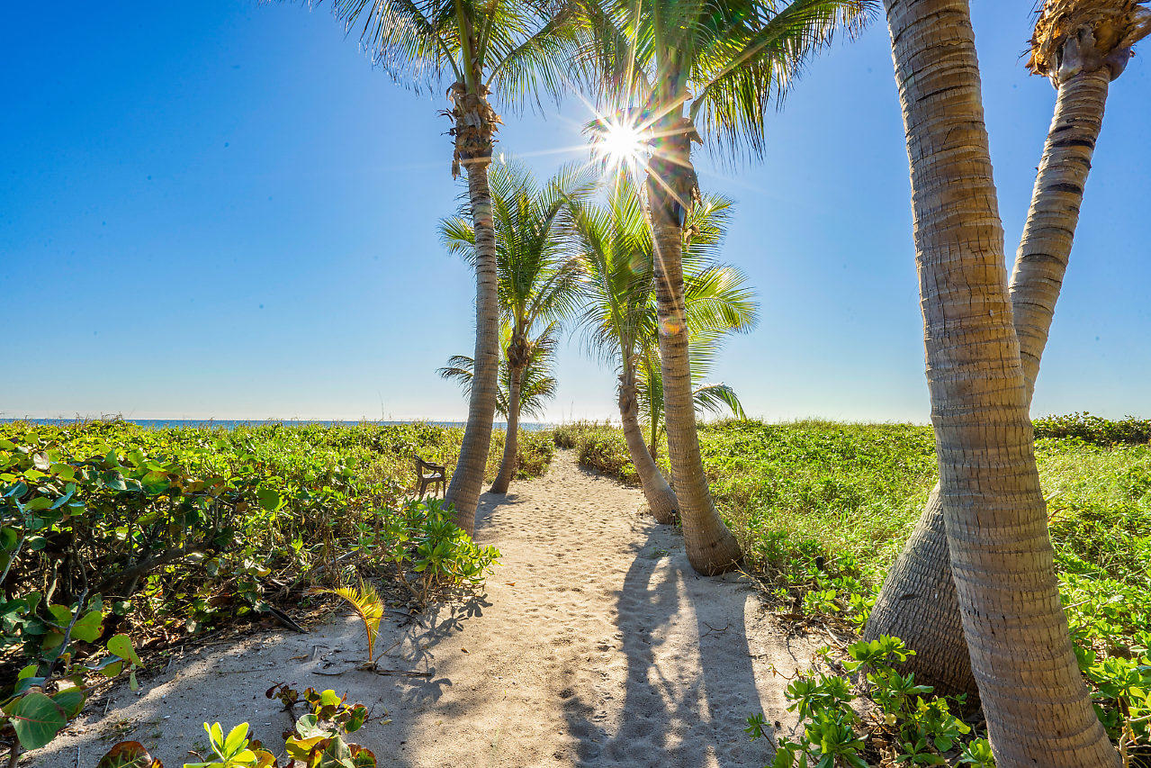 719 North Ocean Boulevard Delray Beach, FL 33483 - Photo 23 of 56 a view of a yard with plants