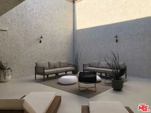 a view of a garden with plants