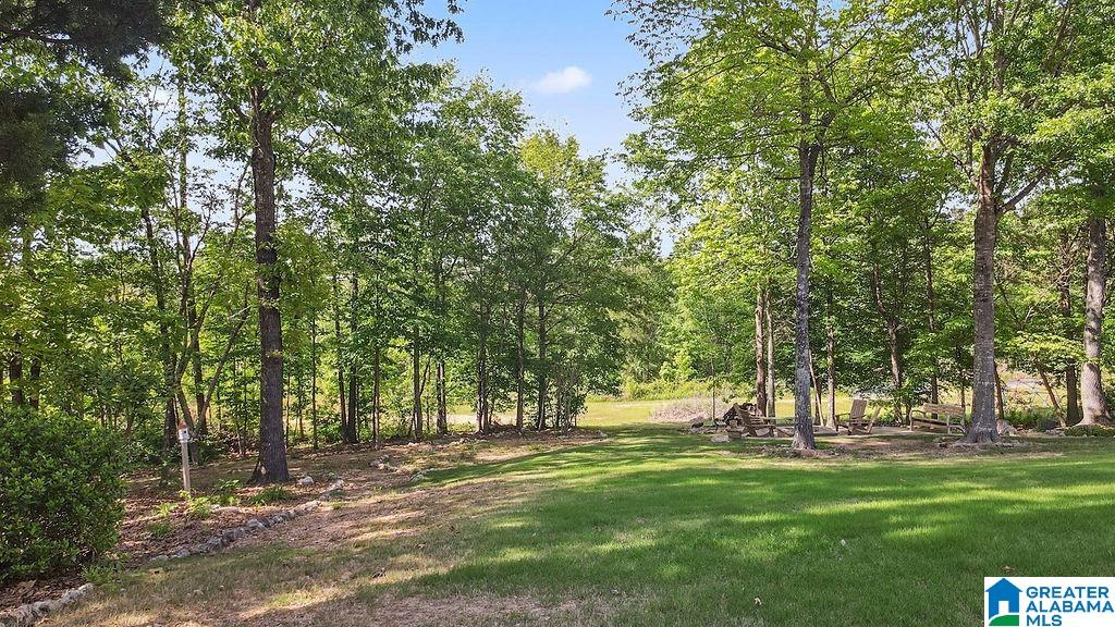 2059 Chelsea Rdg Drive Columbiana, AL 35051 - Photo 56 of 68