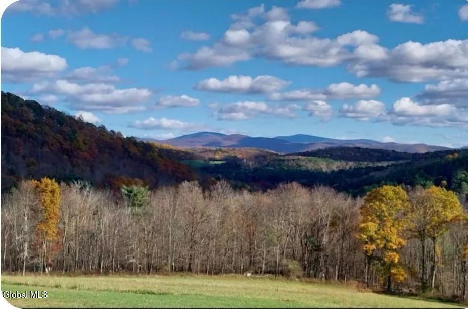 1267 Patterson Hill Road Hebron, NY 12865 - Photo 37 of 55 12