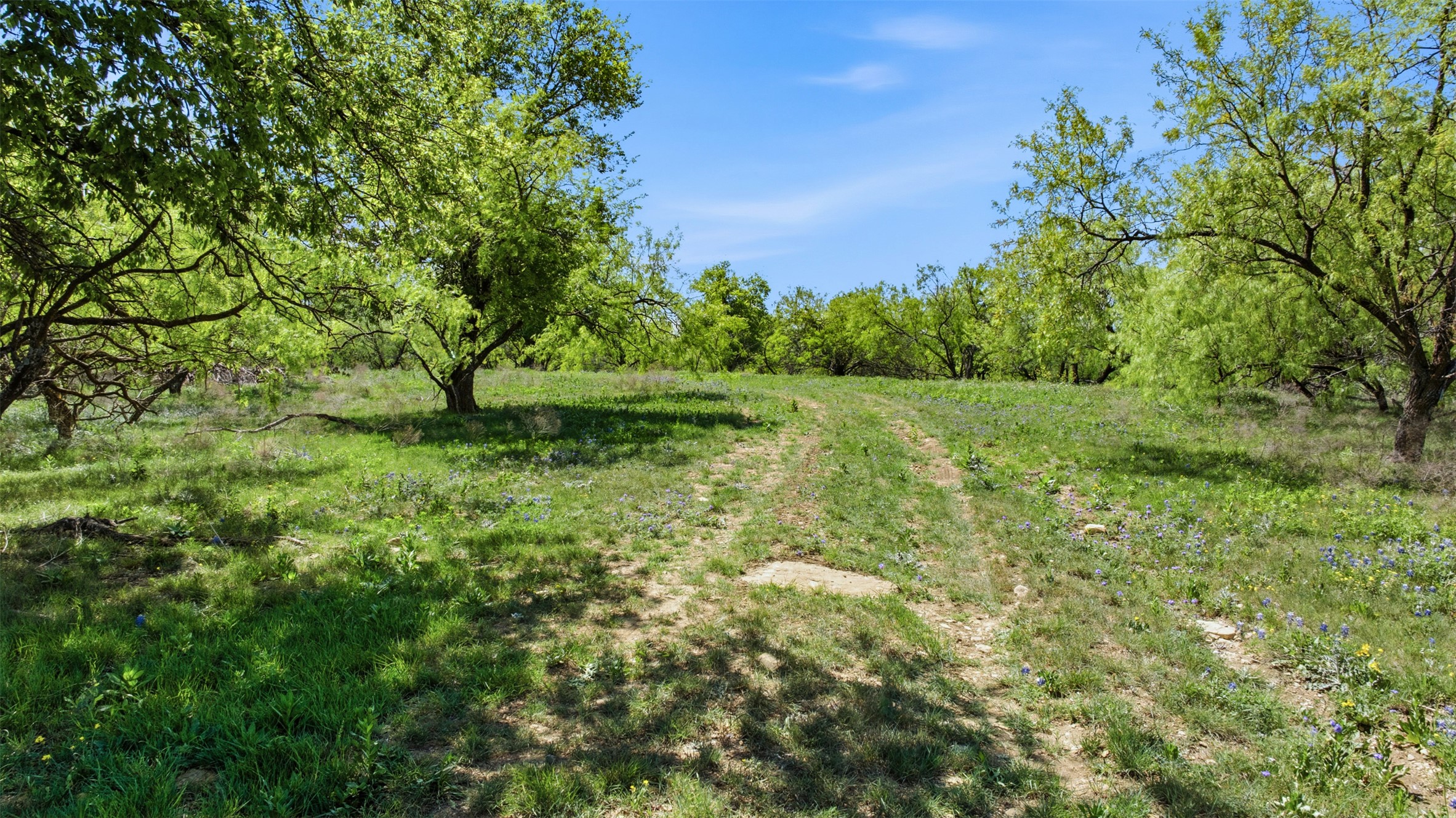 6947 Moody Road Moody, TX 76557 - Photo 12 of 24 Mature trees frame a gentle path winding through the open grassy pasture under blue skies.