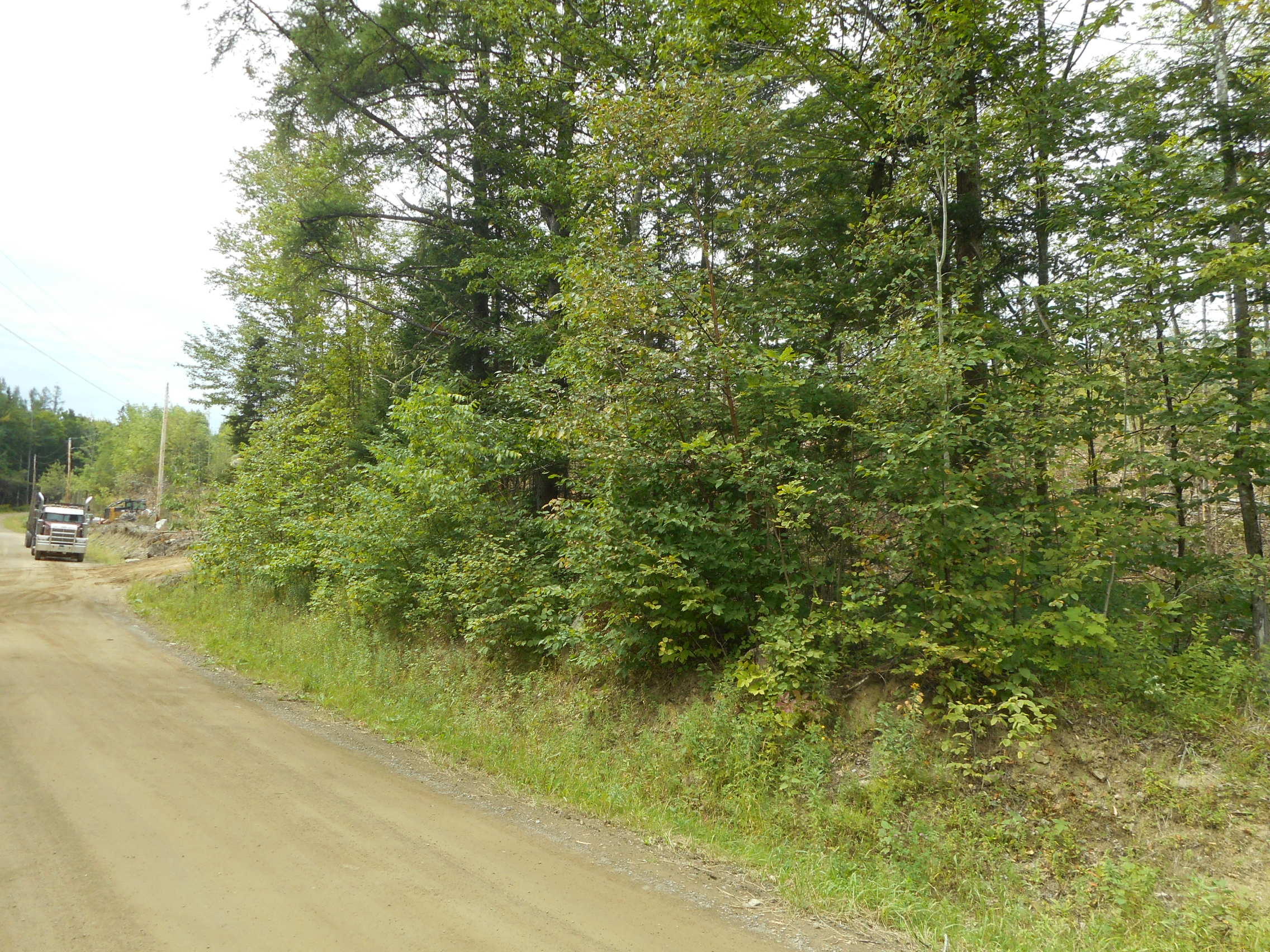 Lot 4 Brown Road Oakfield, ME 04763 - Photo 3 of 11 DSCN2704