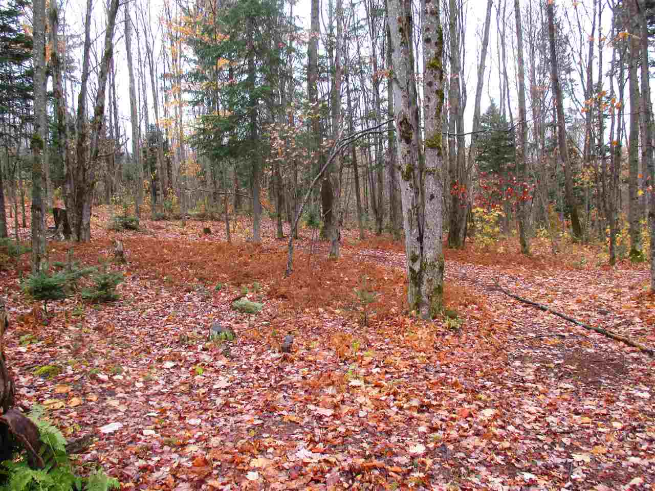 - Row Off Page Road Lowell, VT 05847 - Photo 2 of 12