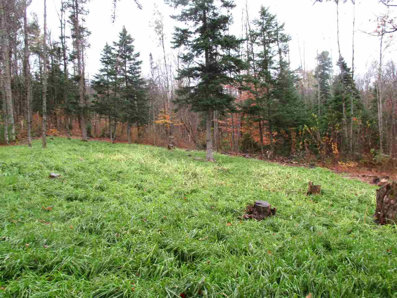 - Row Off Page Road Lowell, VT 05847 - Photo 11 of 12