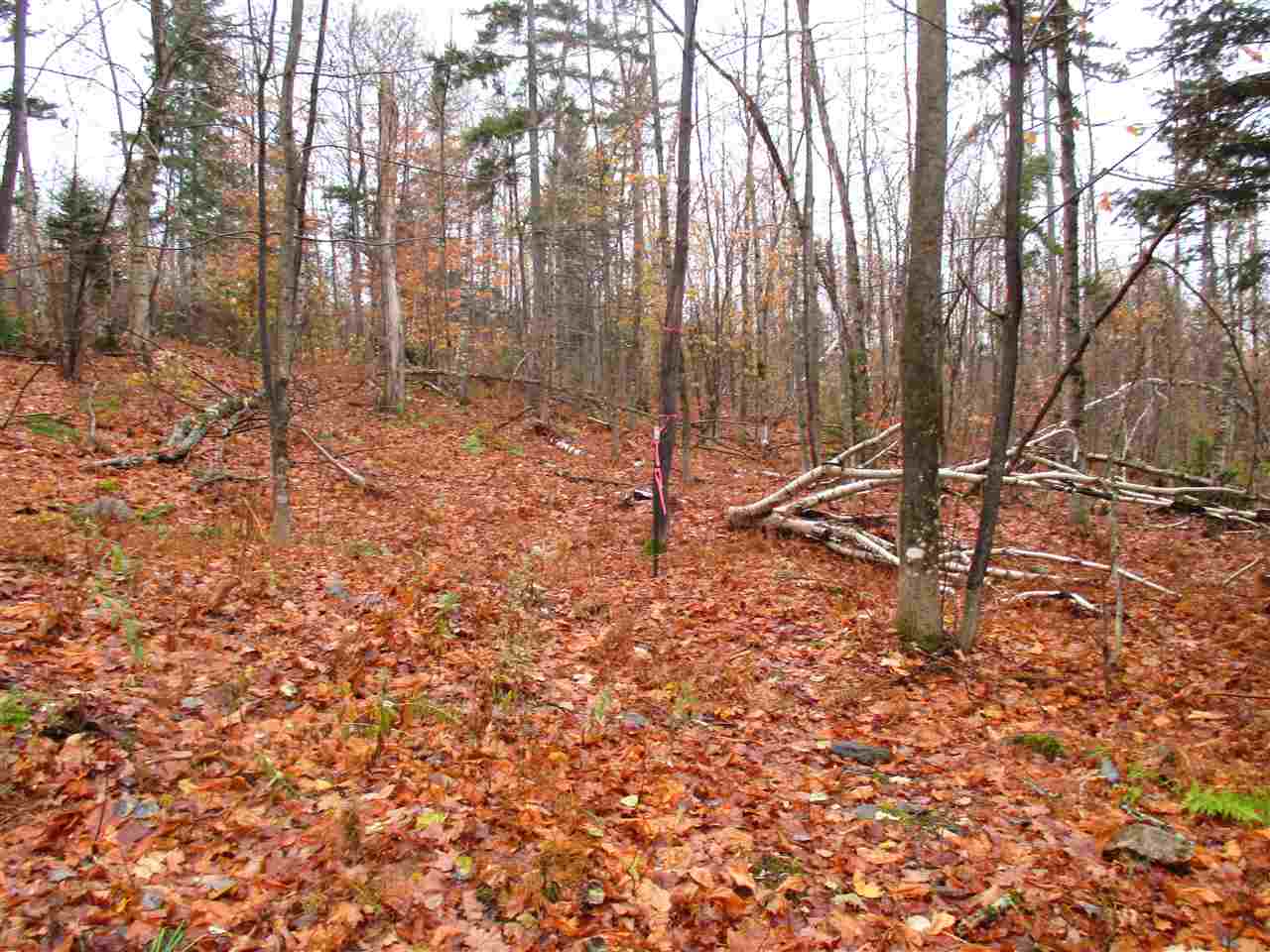 - Row Off Page Road Lowell, VT 05847 - Photo 6 of 12