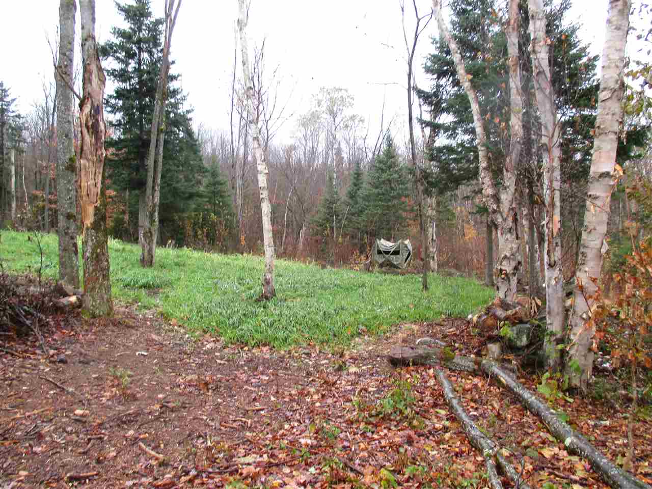 - Row Off Page Road Lowell, VT 05847 - Photo 10 of 12
