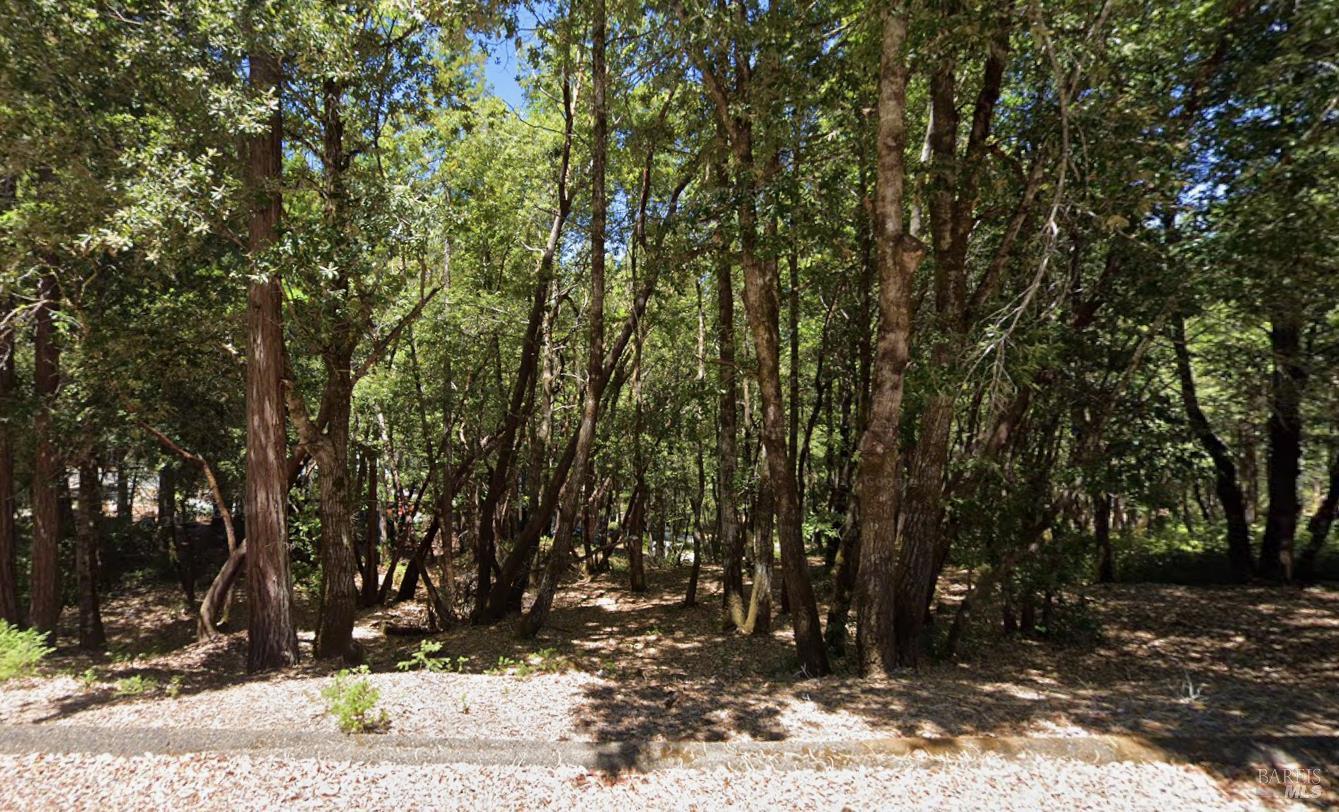 a view of outdoor space with trees