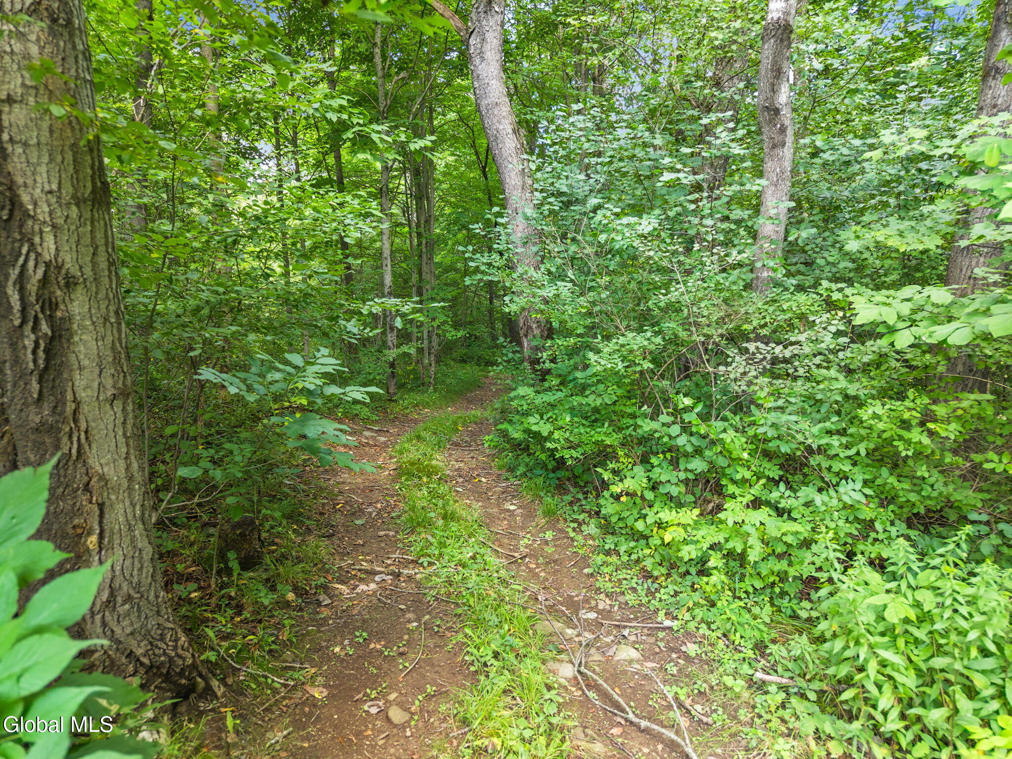 744 County Road 38 Decatur, NY 12197 - Photo 47 of 71 47-744CR-38_047