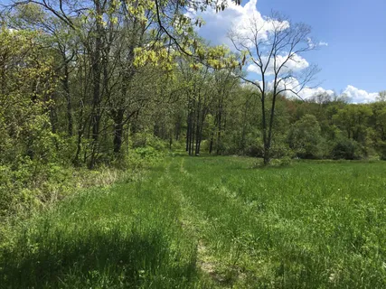 $815,000 | Chestnut Ridge Road, Dover Plains, NY 12522
