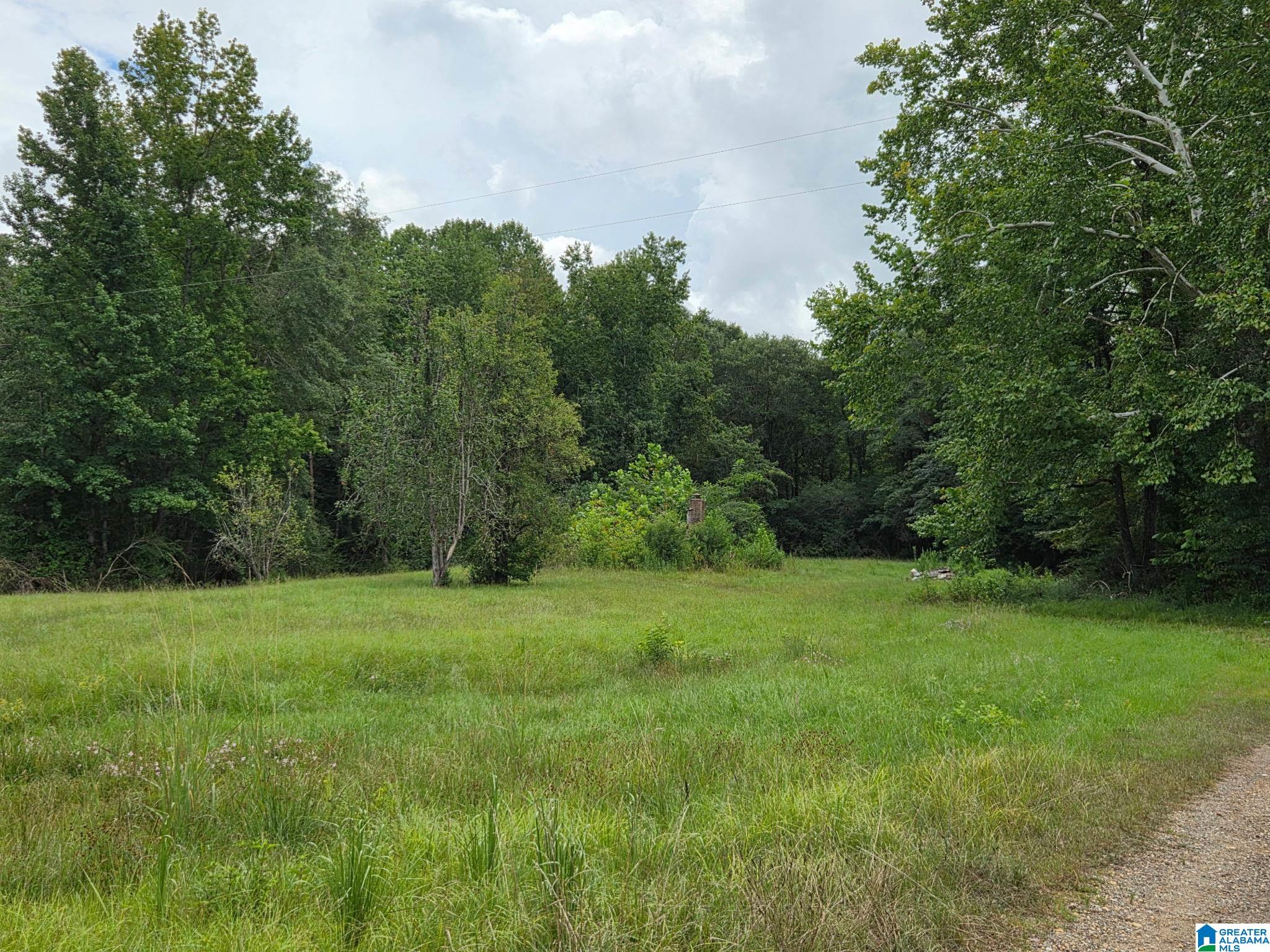 317 Rockyview Road West Blocton, AL 35184 - Photo 5 of 5