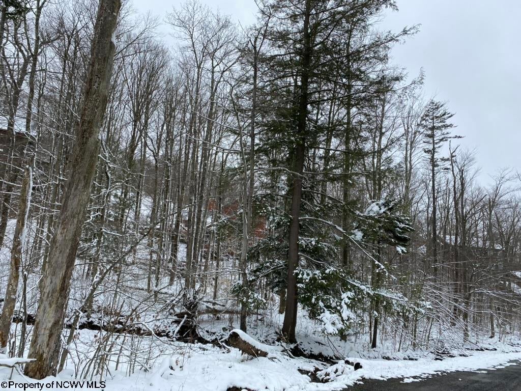 59 Slopeside Road Davis, WV 26260 - Photo 15 of 44 Gallery Image 15