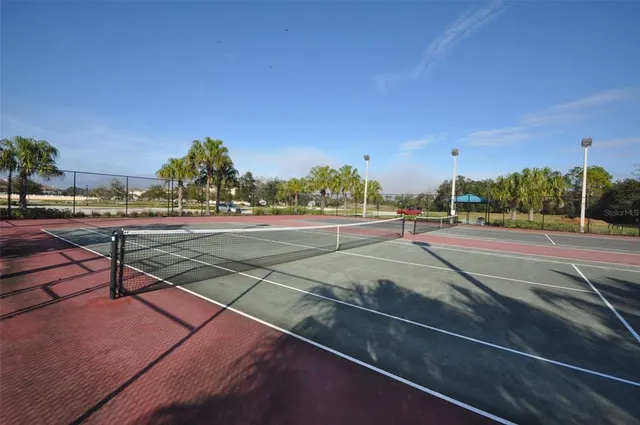 a view of a basketball room with large trees and plants