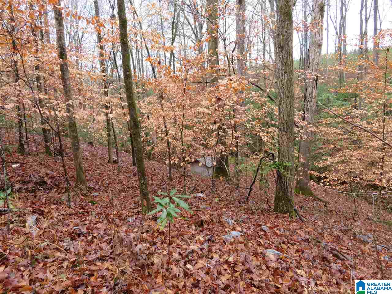 138 Cedar Grove Road West Blocton, AL 35184 - Photo 35 of 44