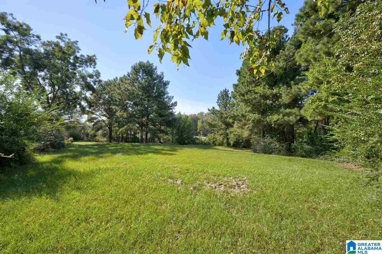 0 Highway 160, Unit 1 Hayden, AL 35079 - Photo 1 of 1