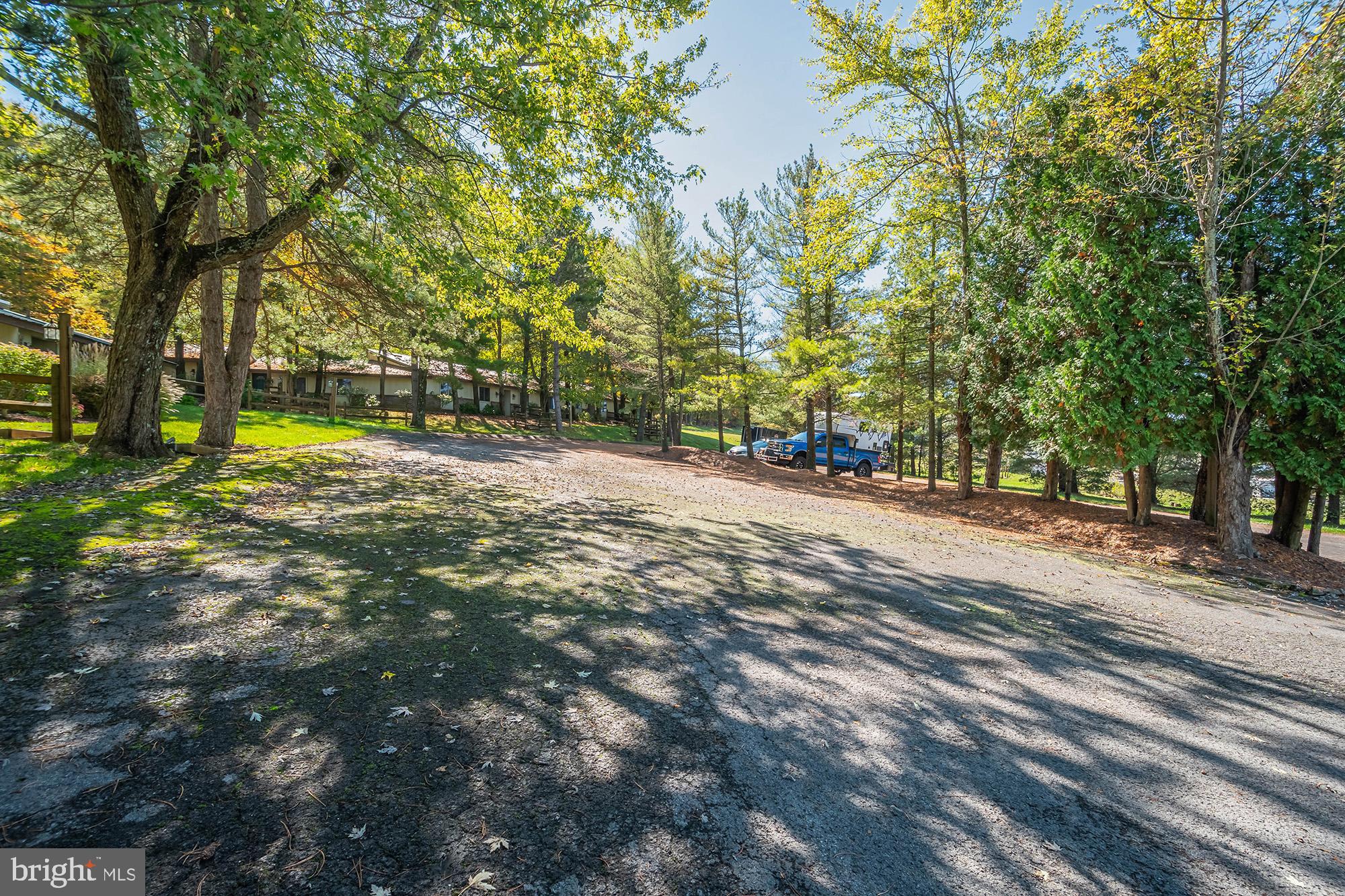1724 Mosser Road, Unit 1 McHenry, MD 21541 - Photo 20 of 24 a view of a yard with plants and trees
