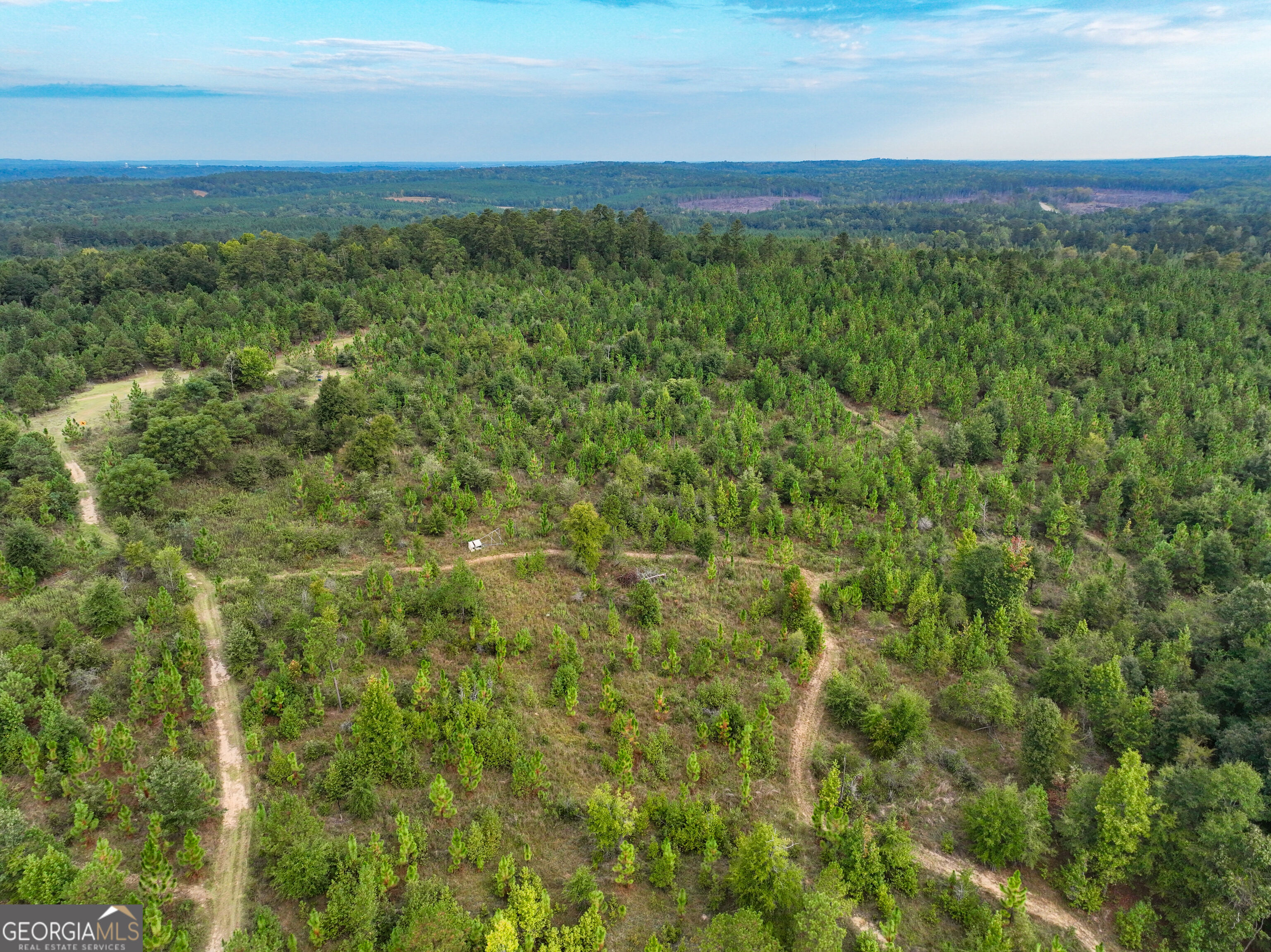 0 Butler Road Southeast Milledgeville, GA 31061 - Photo 11 of 41 Gallery Image 11