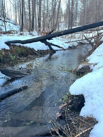 $83,500 | Lot 11 Rail Canyon Road, Tumtum, WA 99034