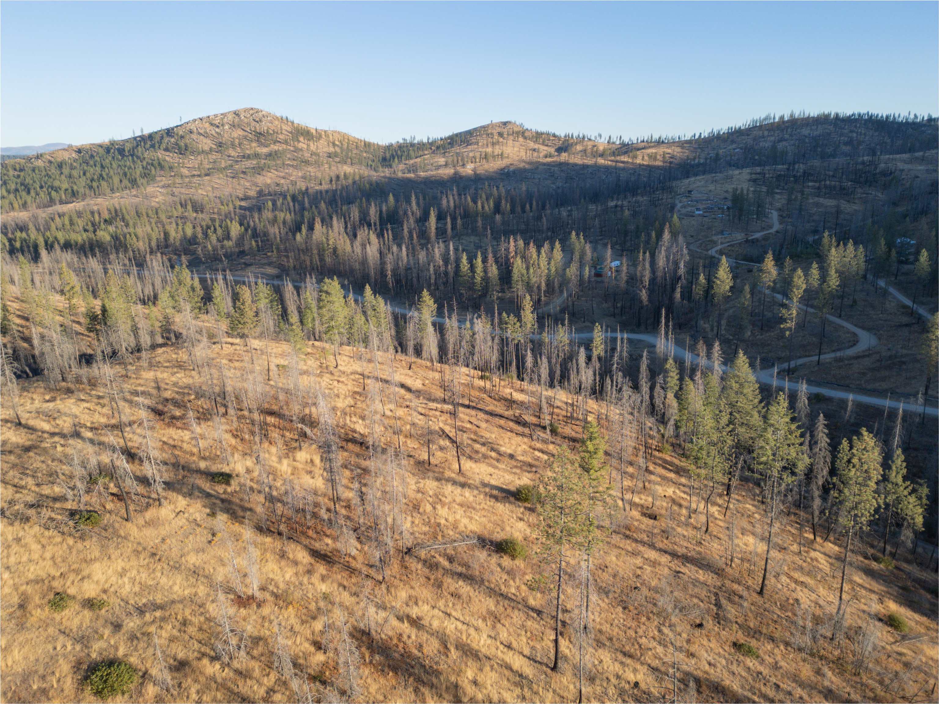 Lot 11 Rail Canyon Road Tumtum, WA 99034 - Photo 3 of 11