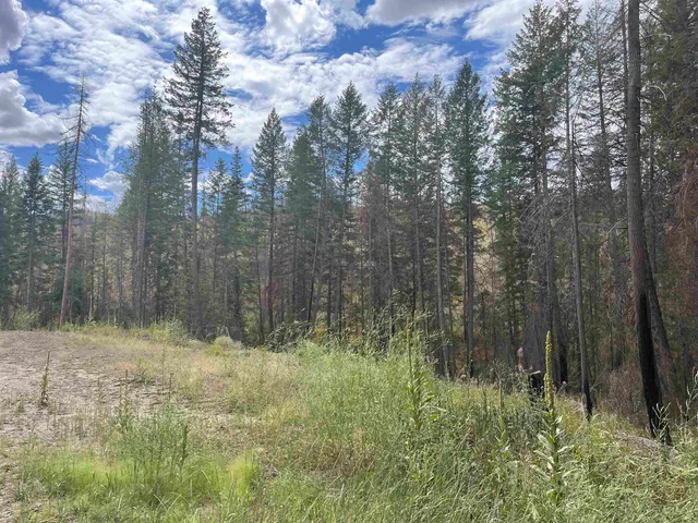 $83,500 | Lot 11 Rail Canyon Road, Tumtum, WA 99034