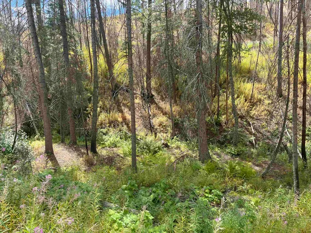 $83,500 | Lot 11 Rail Canyon Road, Tumtum, WA 99034
