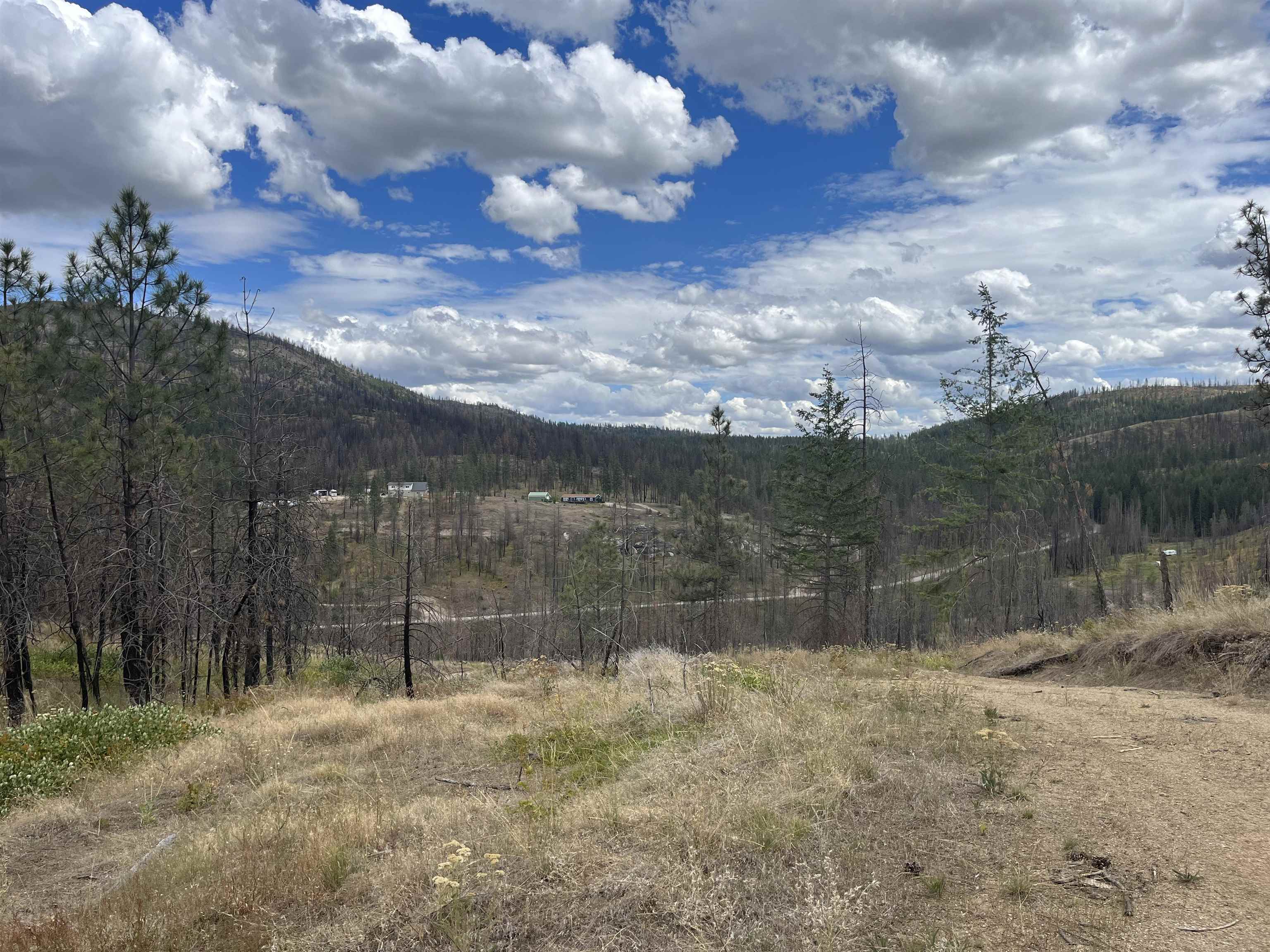 Lot 11 Rail Canyon Road Tumtum, WA 99034 - Photo 7 of 11