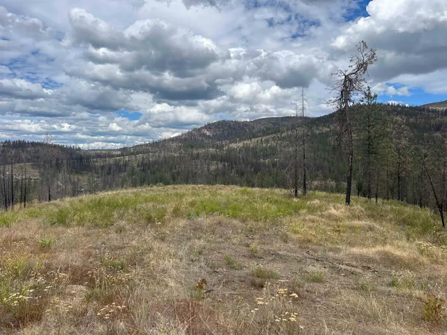 $83,500 | Lot 11 Rail Canyon Road, Tumtum, WA 99034