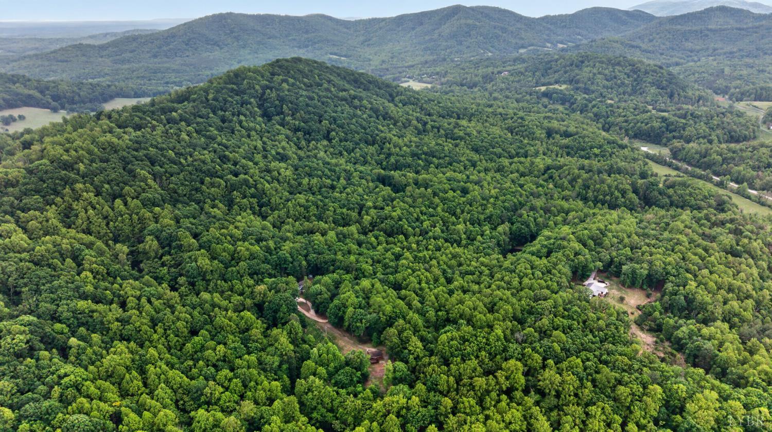280 Hidden Acres Lane Amherst, VA 24521 - Photo 60 of 70