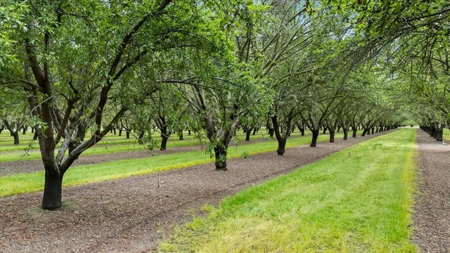 $2,395,000 | 25926 South Austin Road, Ripon, CA 95366