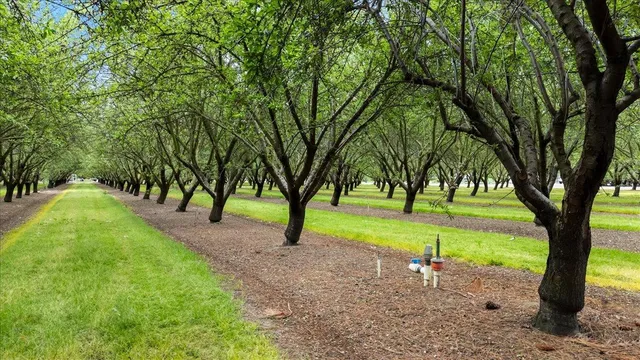 $2,395,000 | 25926 South Austin Road, Ripon, CA 95366