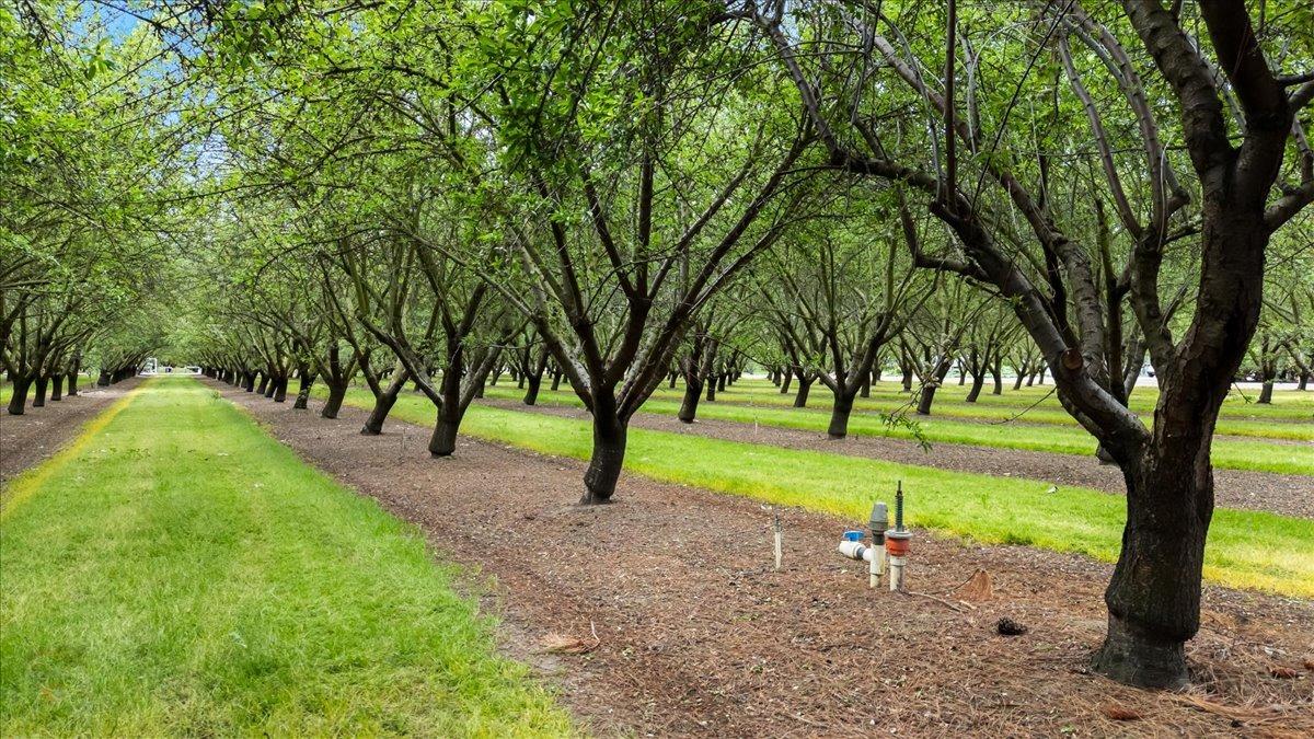 25926 South Austin Road Ripon, CA 95366 - Photo 94 of 99