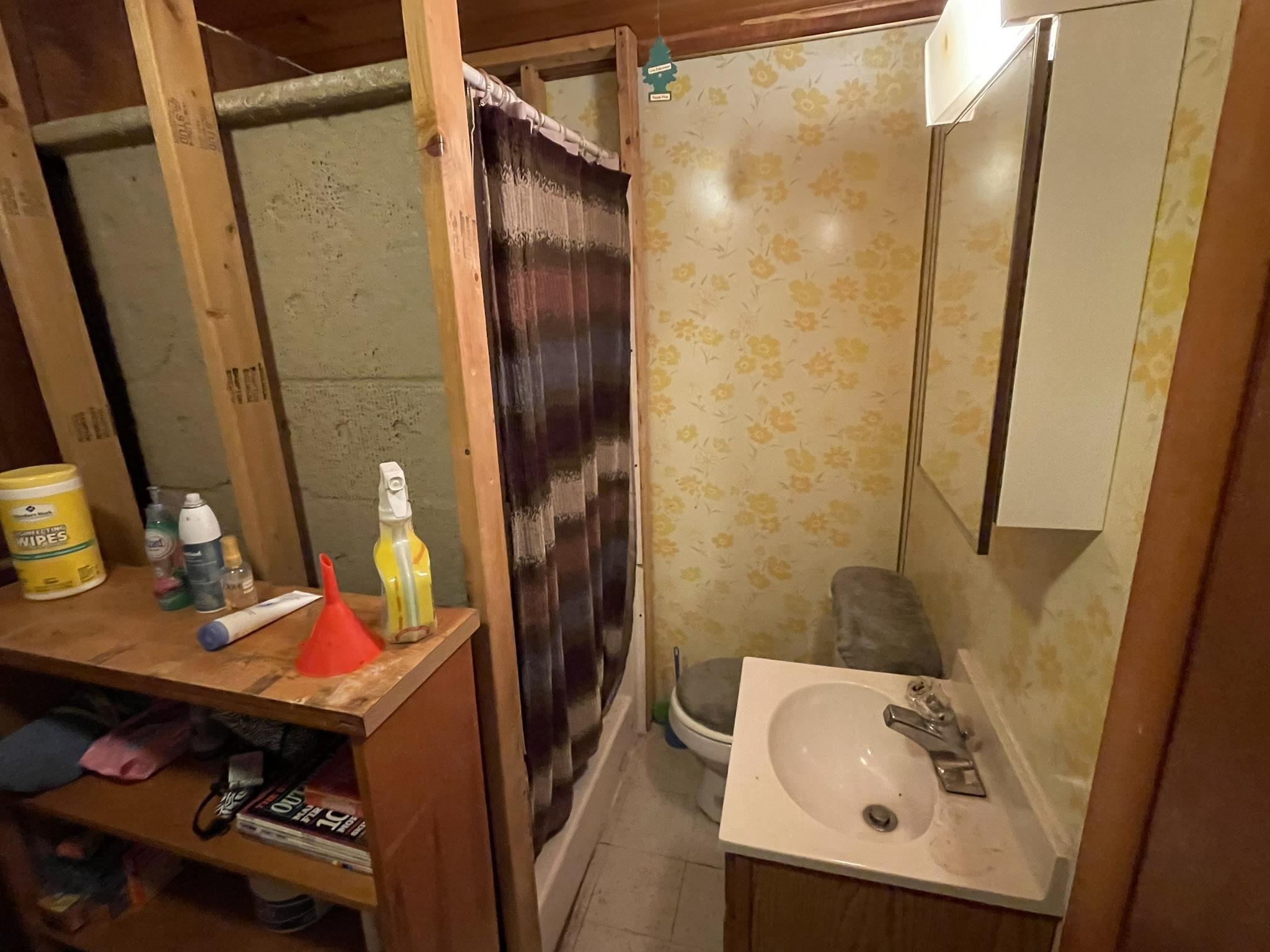 231 Dyer Road Rose City, MI 48654 - Photo 17 of 18