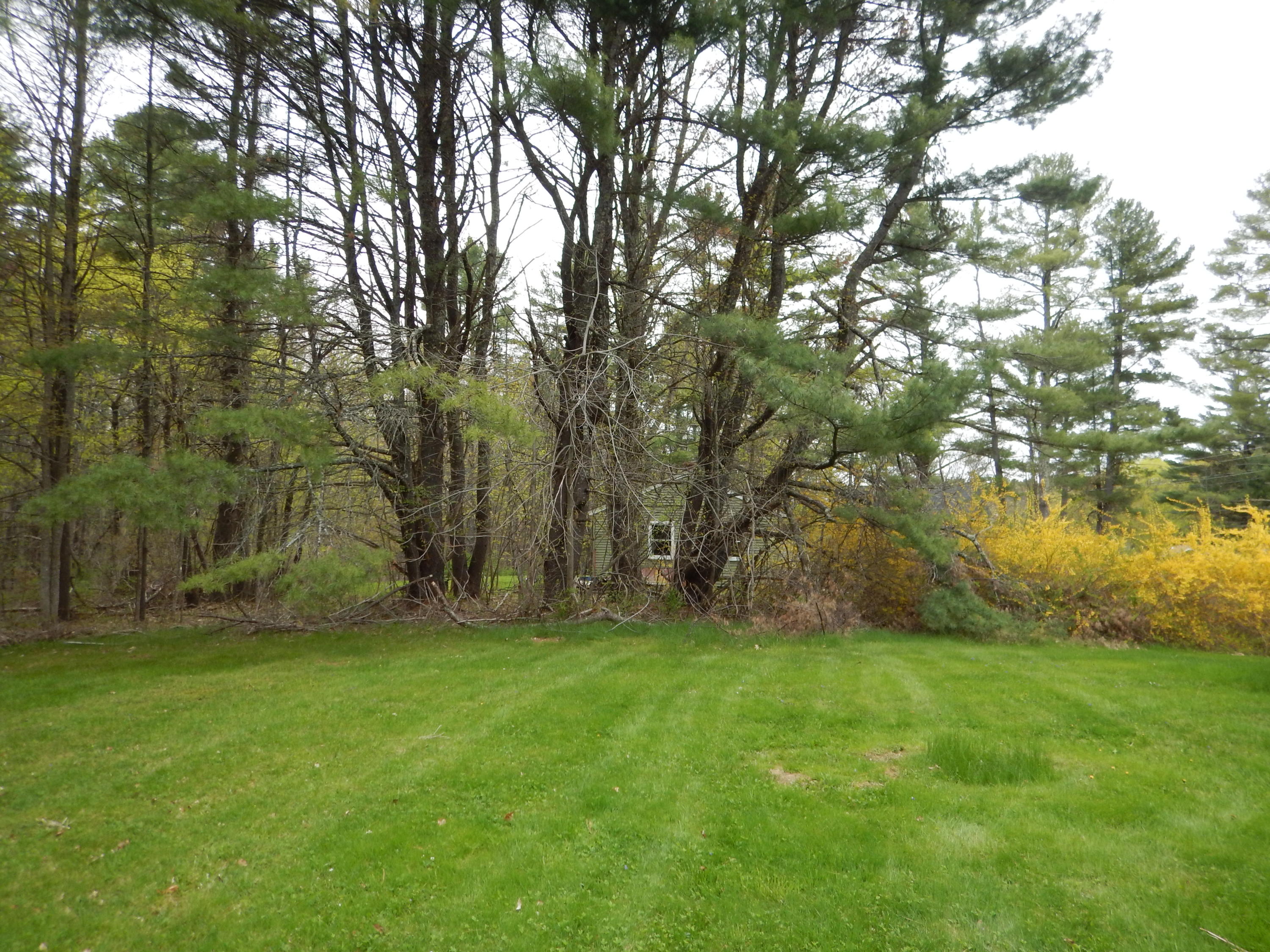 91 Scotland Bridge Road York, ME 03909 - Photo 24 of 26 Back Yard