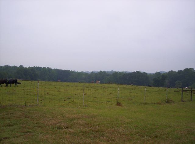 Pr Tr1 Cathey Road Anderson, SC 29621 - Photo 3 of 8