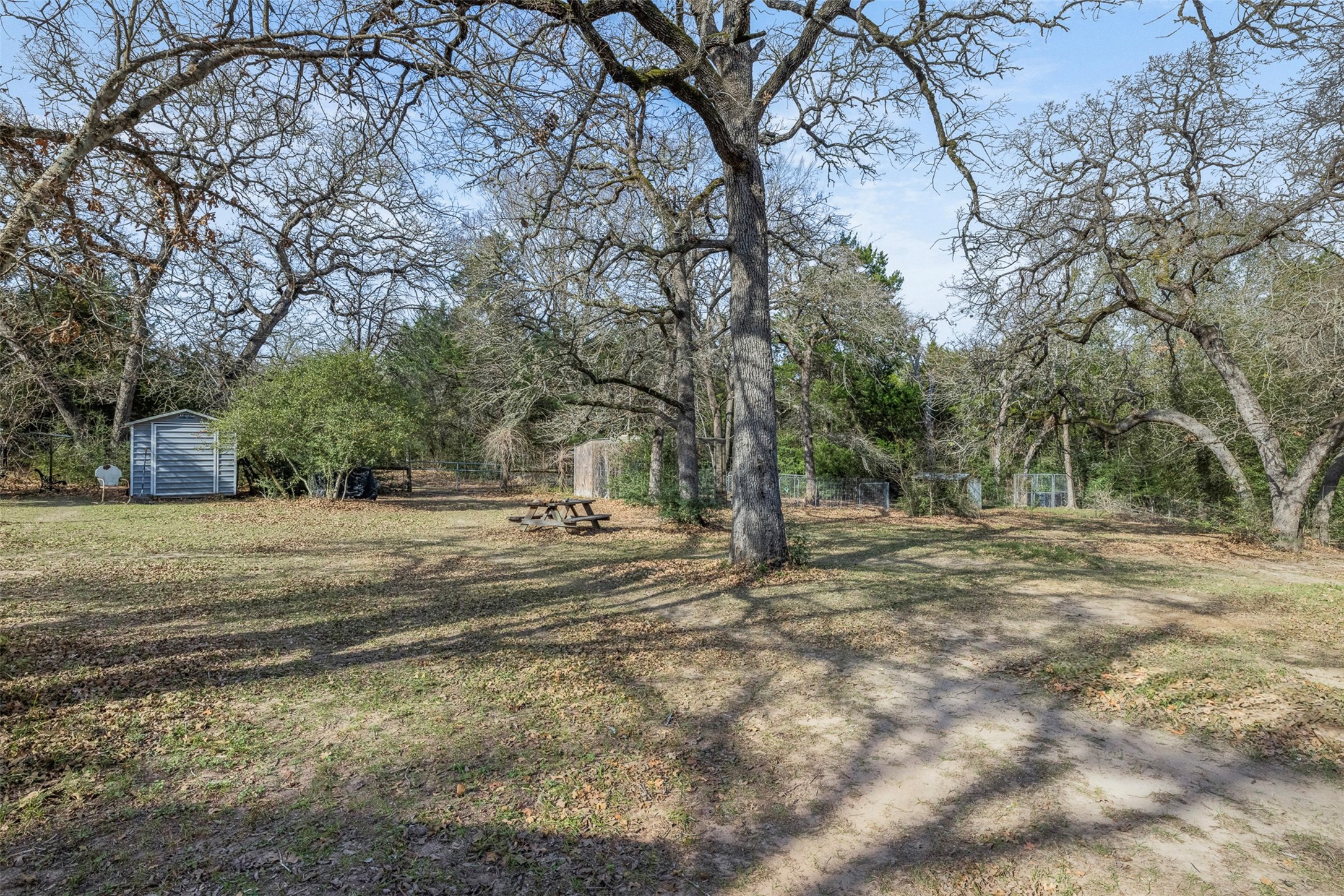 1139 Private Road 7009 Road Lexington, TX 78947 - Photo 23 of 32 a view of a yard with a tree