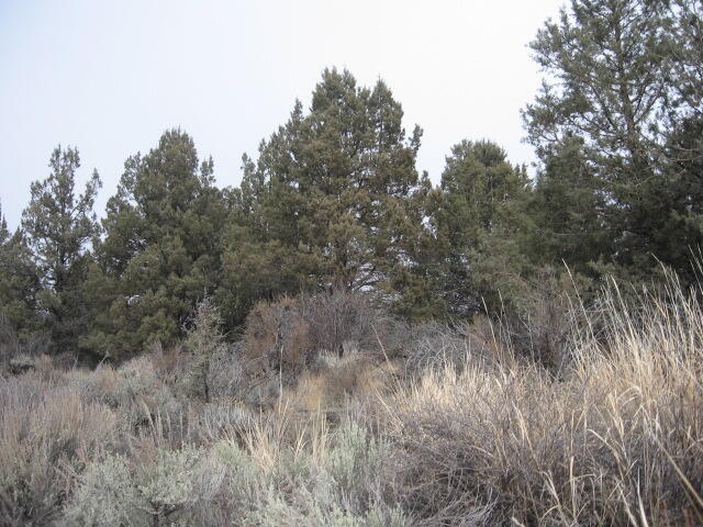 Drews Road Chiloquin, OR 97624 - Photo 14 of 20 14