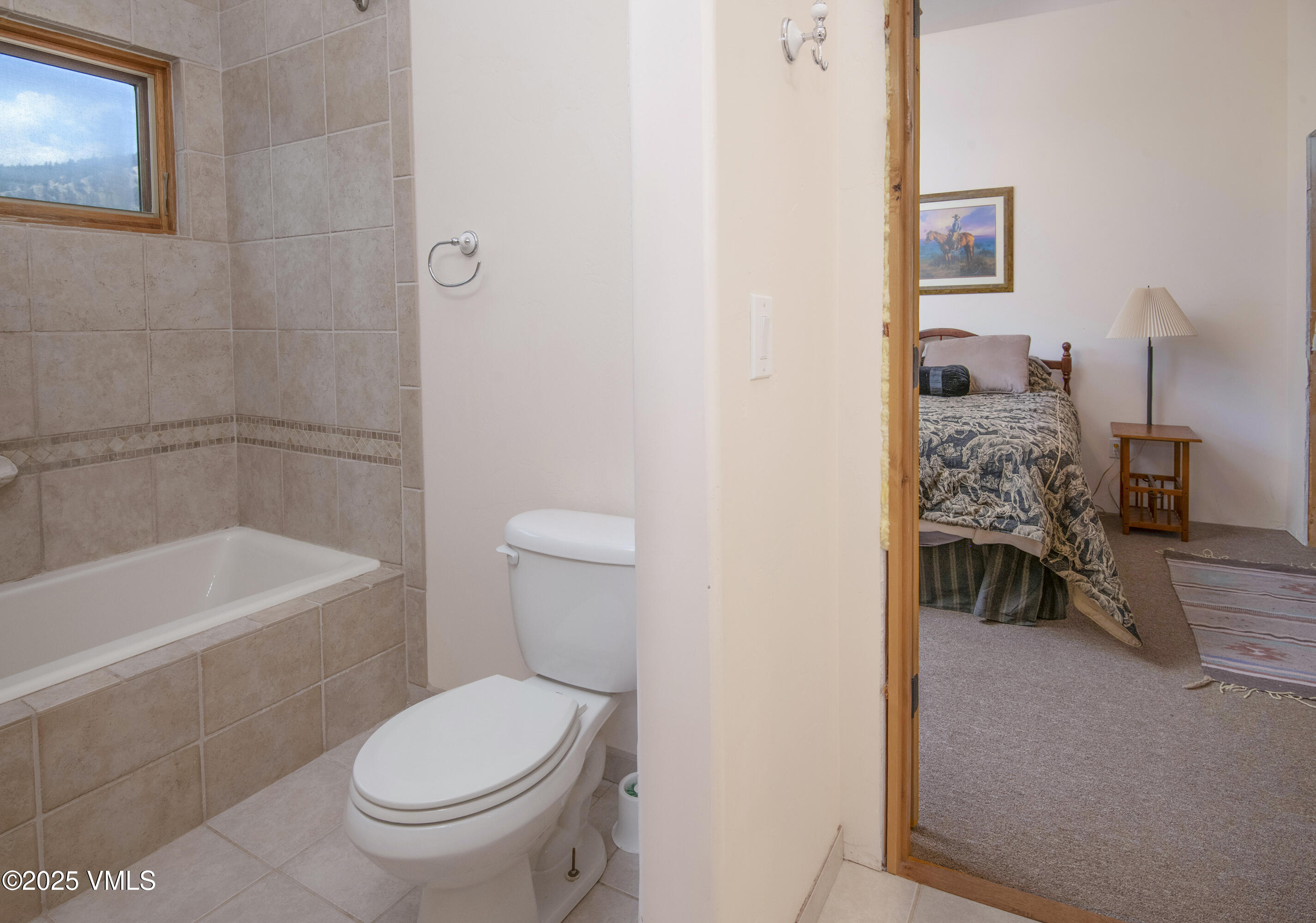 14555 Highway 6 Eagle, CO 81631 - Photo 22 of 61 a bathroom with a toilet and a bathtub
