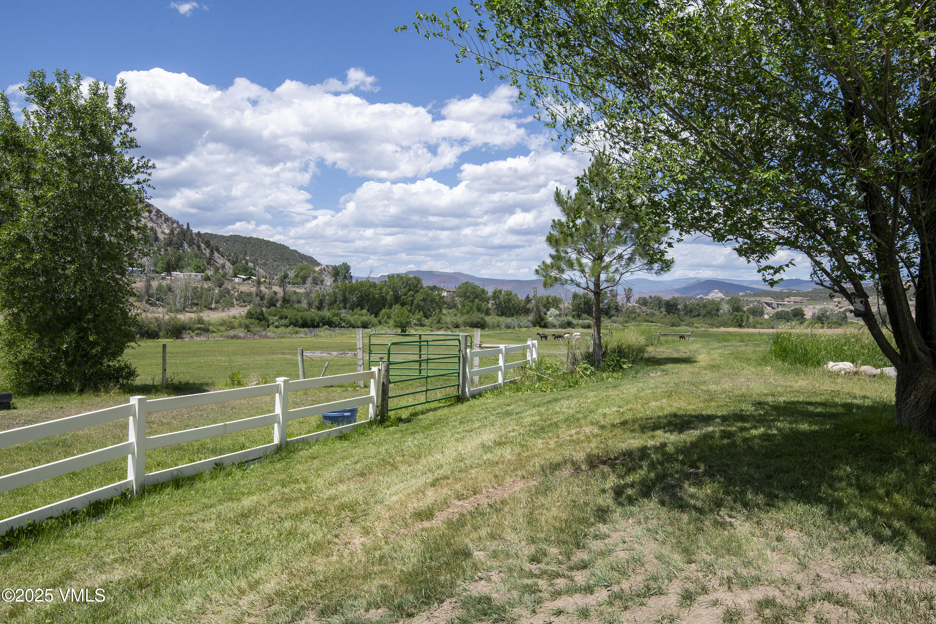 14555 Highway 6 Eagle, CO 81631 - Photo 51 of 61 a view of a garden with a tree in the background