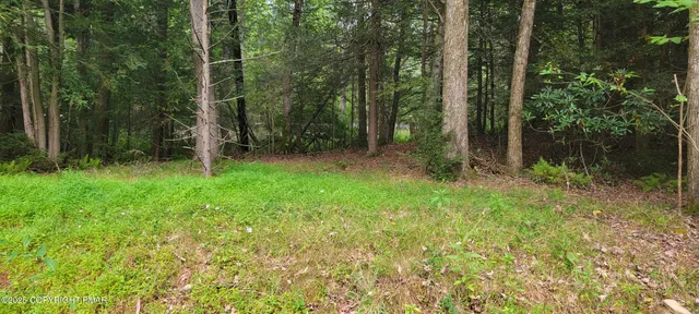 a view of backyard with green space